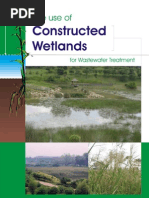 Contructed Wetlands PDF