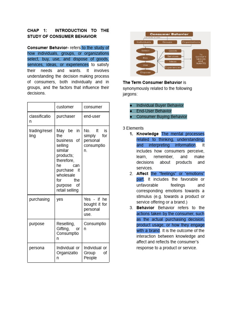 Understanding Consumer Behavior Basics | PDF | Marketing | Market ...