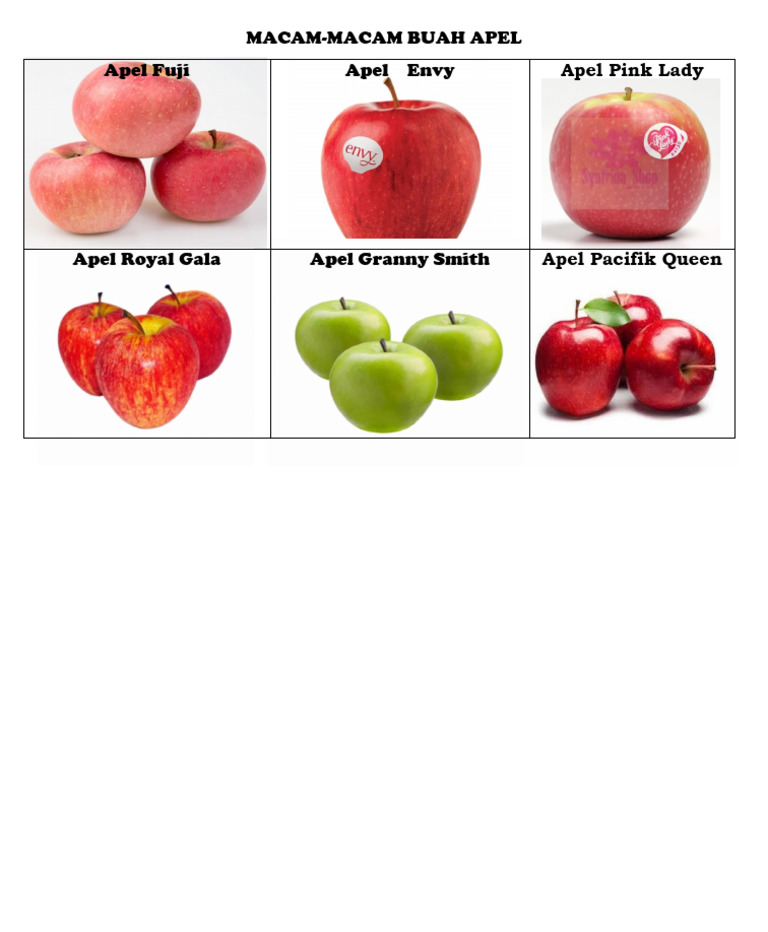 Macam Buah Apel | PDF
