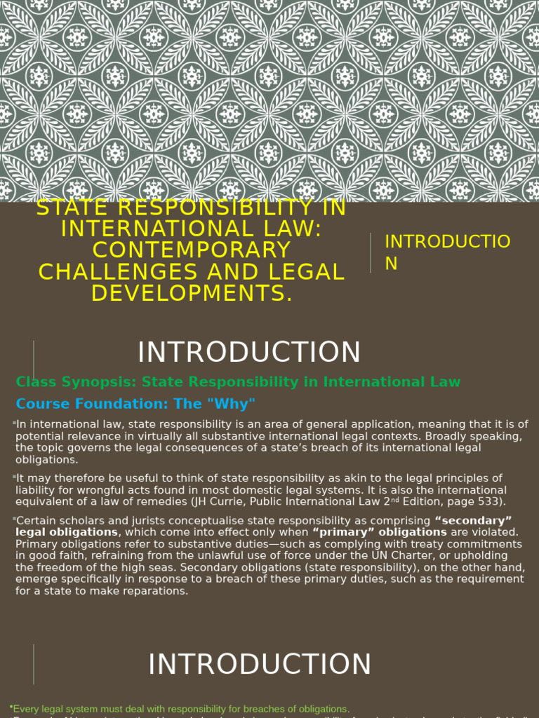 State Responsibility in International Law | PDF | International Law ...