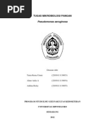 Download Pseudomonas aeruginosa by Tenia Rema Utami SN93225947 doc pdf