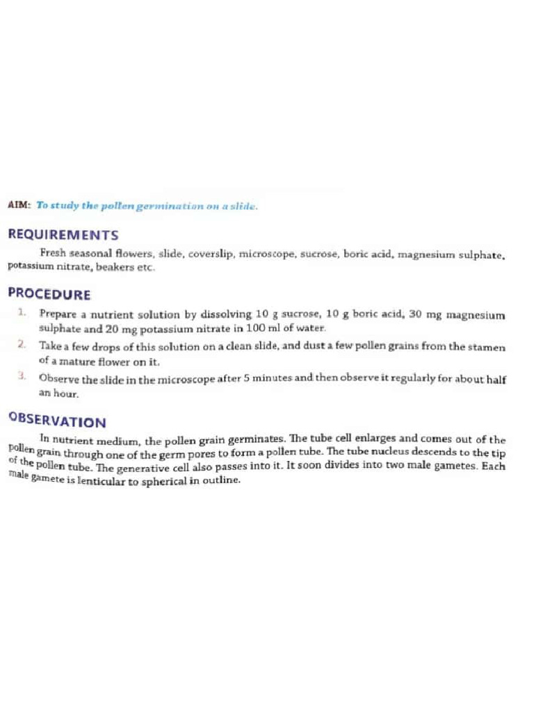 Pollen Germination & Isolation of DNA | PDF