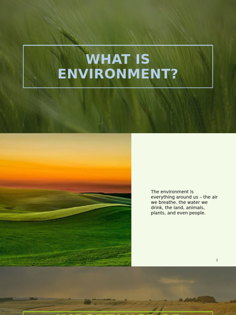 Understanding Environmental Science Basics | PDF