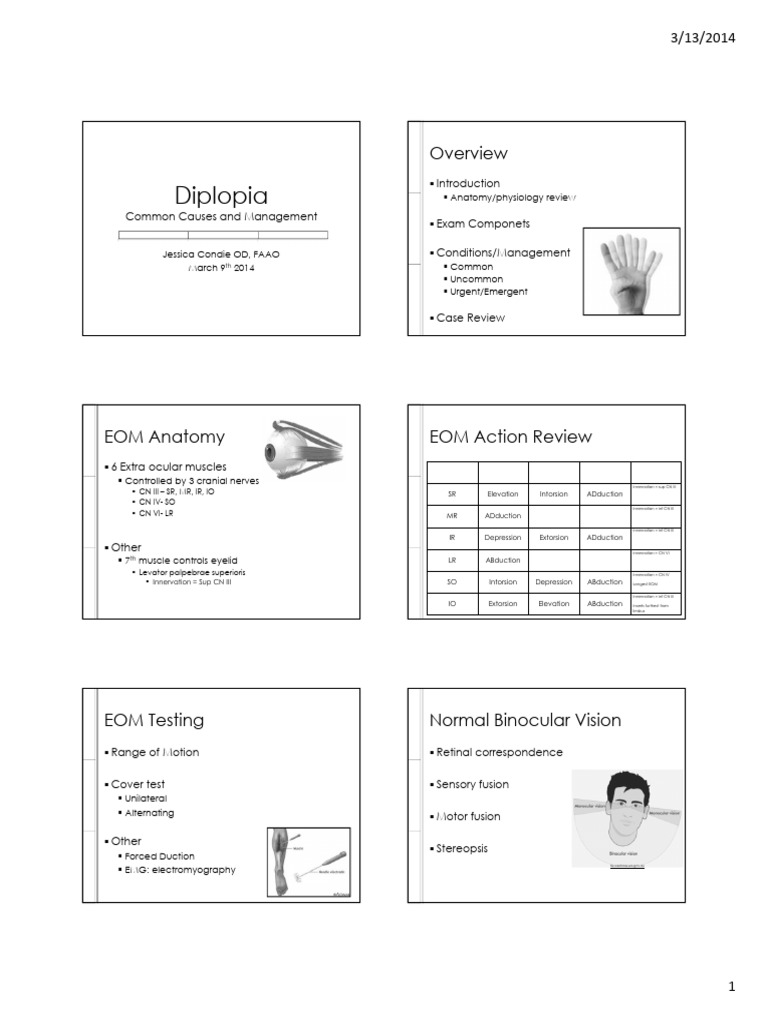 Diplopia: Causes and Management Guide | PDF | Nervous System ...