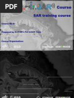 SAR | PDF