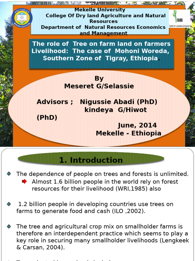 The Role of Tree in A Farm Land | PDF | Agriculture | Smallholding