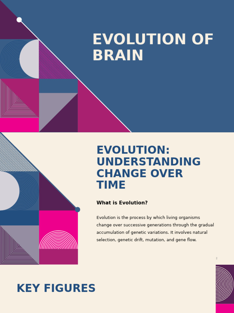 Brain Evolution: Key Mechanisms Explained | PDF | Natural Selection | Brain