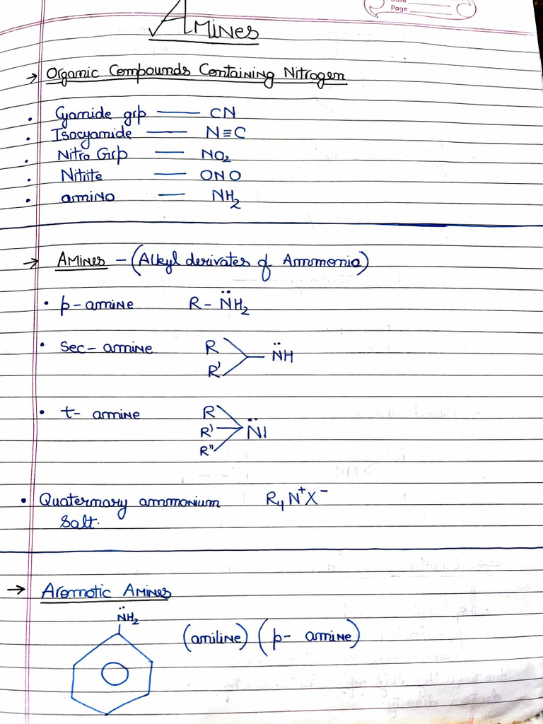 Amines Notes | PDF