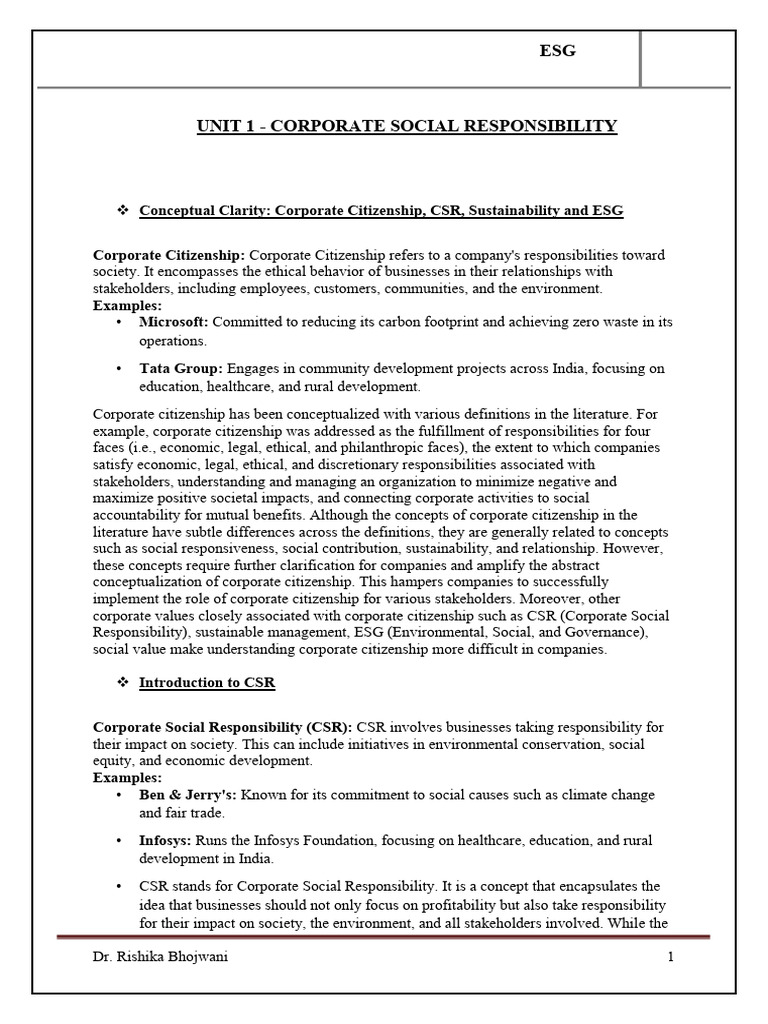 Understanding CSR and ESG Concepts | PDF | Corporate Social ...