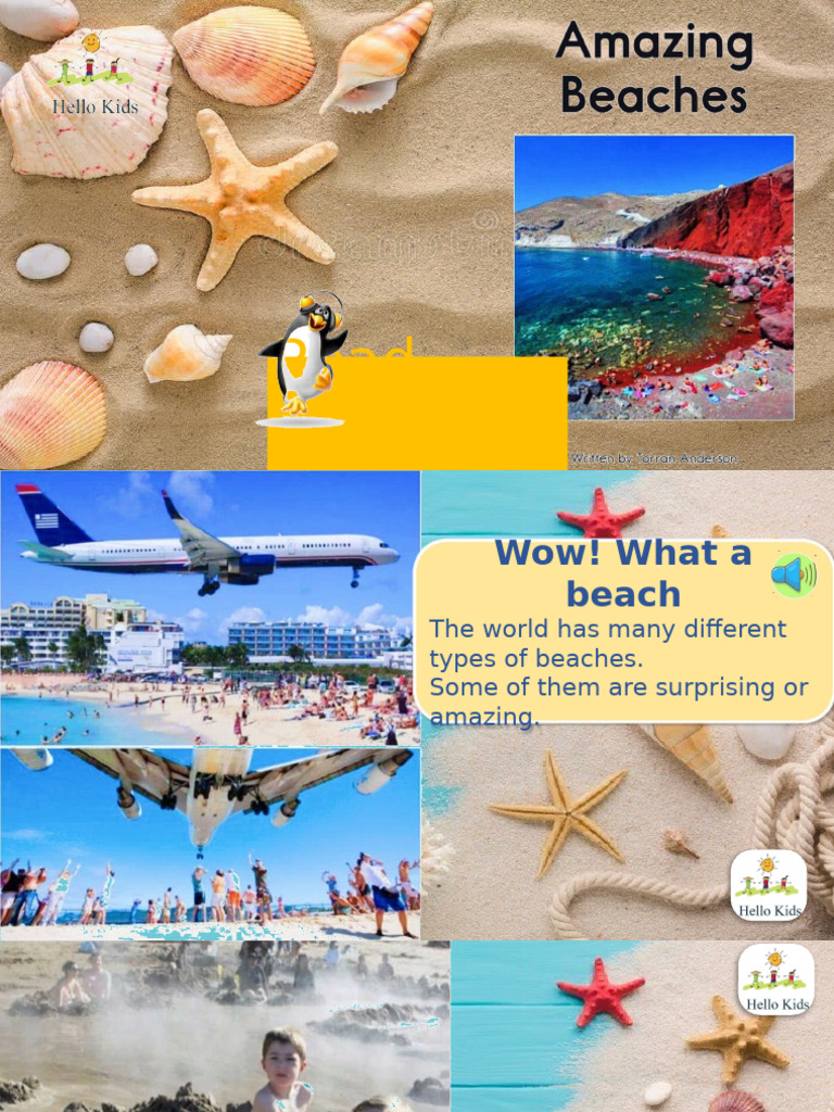 Unique and Amazing Beach Types | PDF