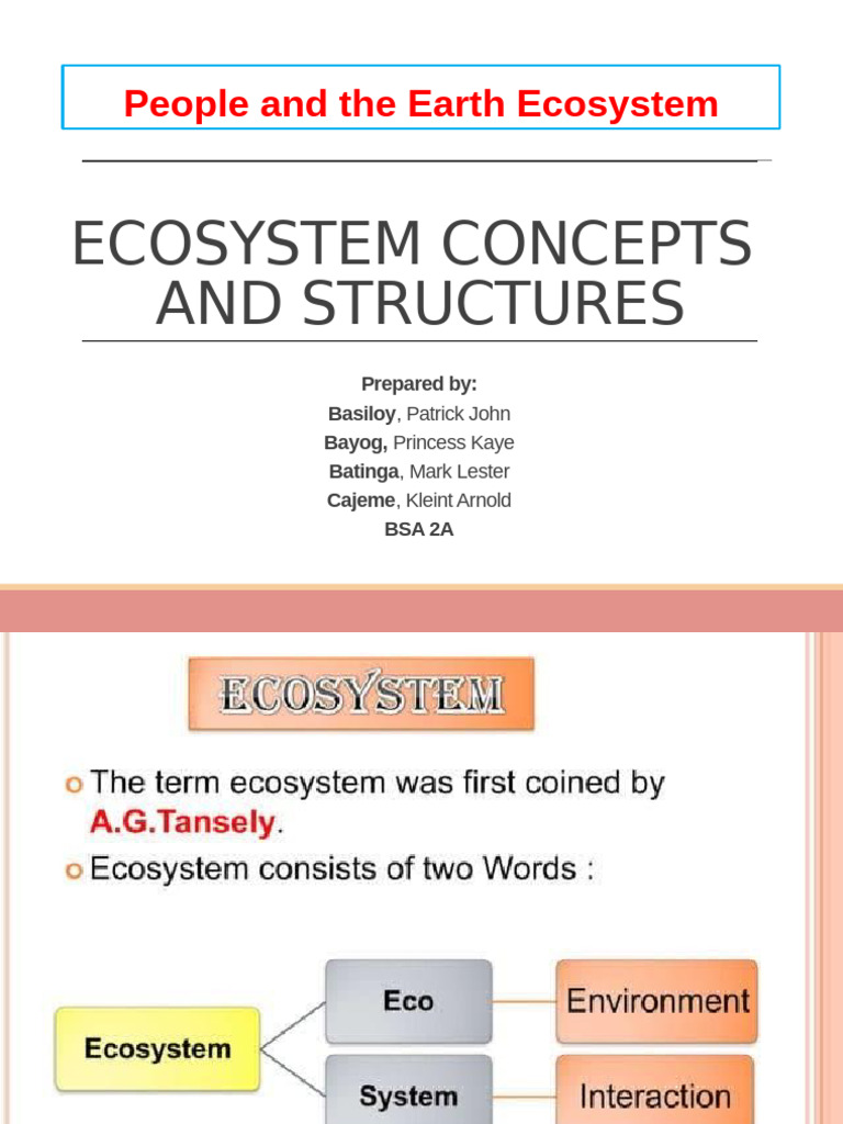 Ecosystem Concepts and Structures | PDF