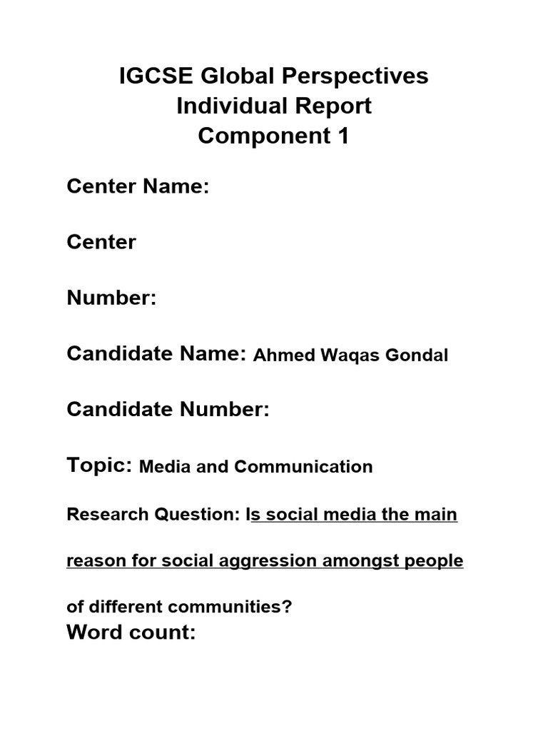 Individual Report | PDF | Social Media | Popular Culture & Media Studies