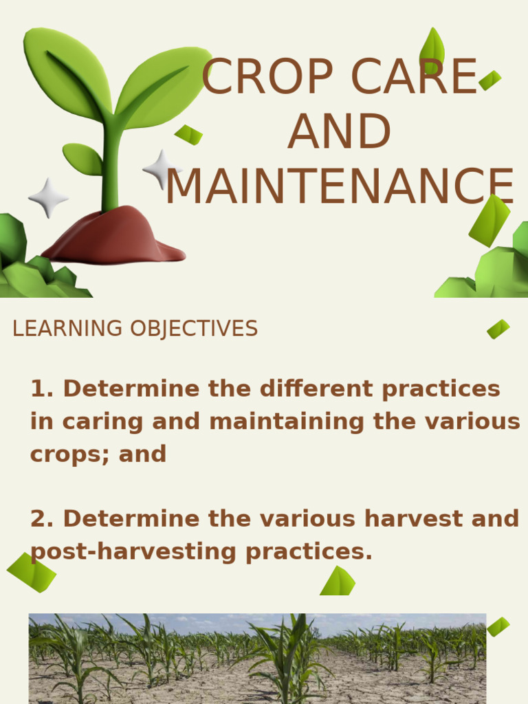 Crop Care and Maintenance Guide | PDF | Crops | Agriculture