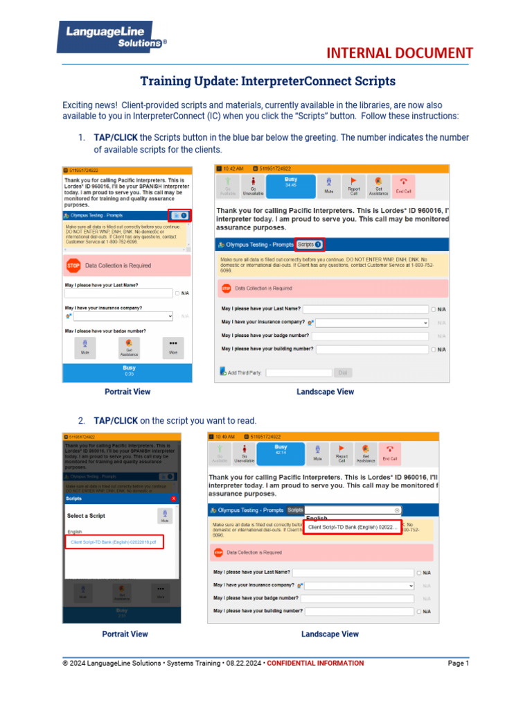 InterpreterConnect Scripts Update Guide | PDF