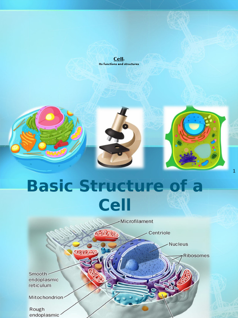 2 Cell Structure and Function | PDF | Endoplasmic Reticulum | Cell ...