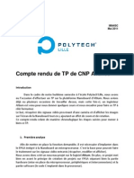 Mendes Garit Rapport CNP Avance