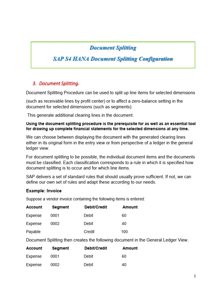SAP Document Splitting Guide | PDF | Debits And Credits | Expense