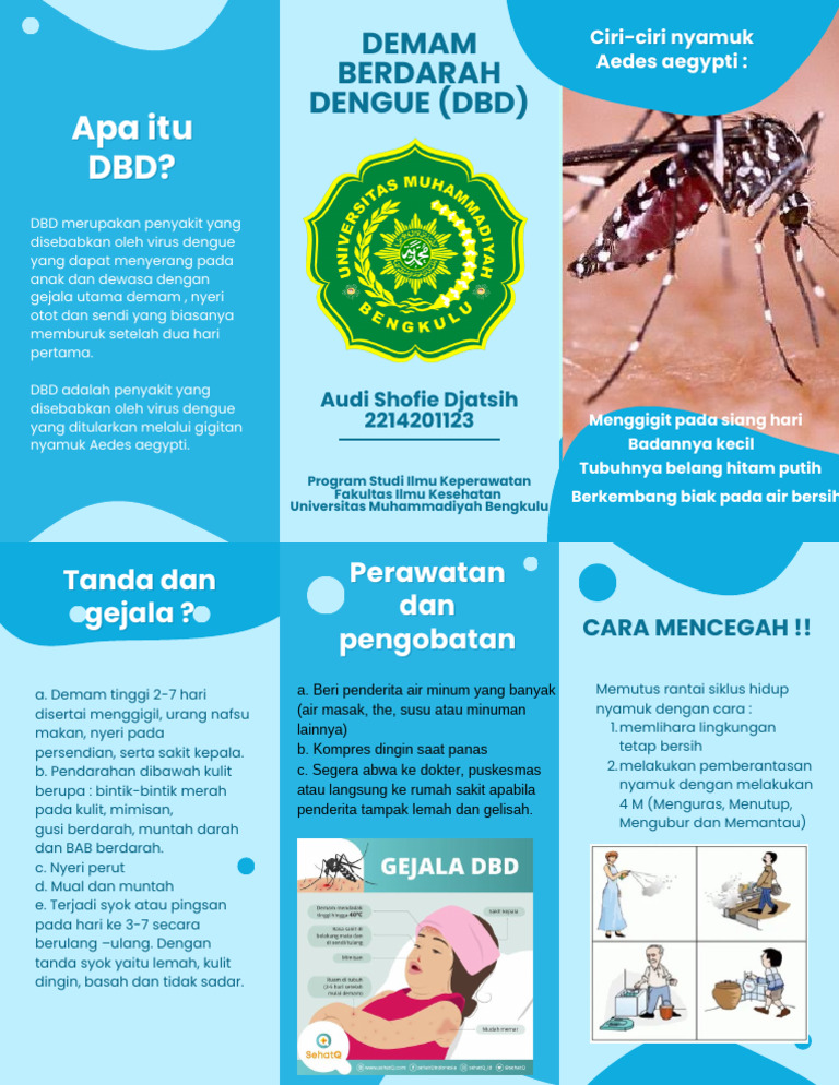 Gejala dan Penanganan DBD pada Anak dan Dewasa | PDF