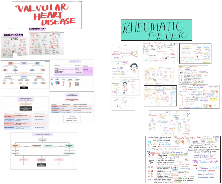 Cvs | PDF