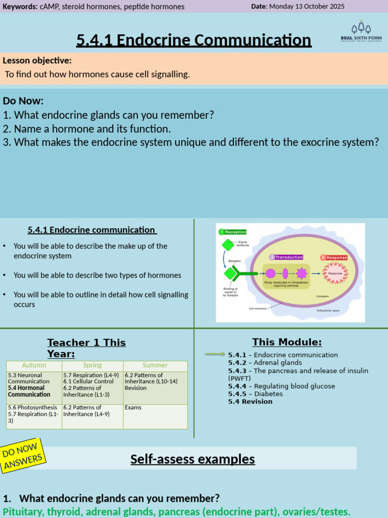 Endocrine Communication and Hormones | PDF | Hormone | Endocrine System