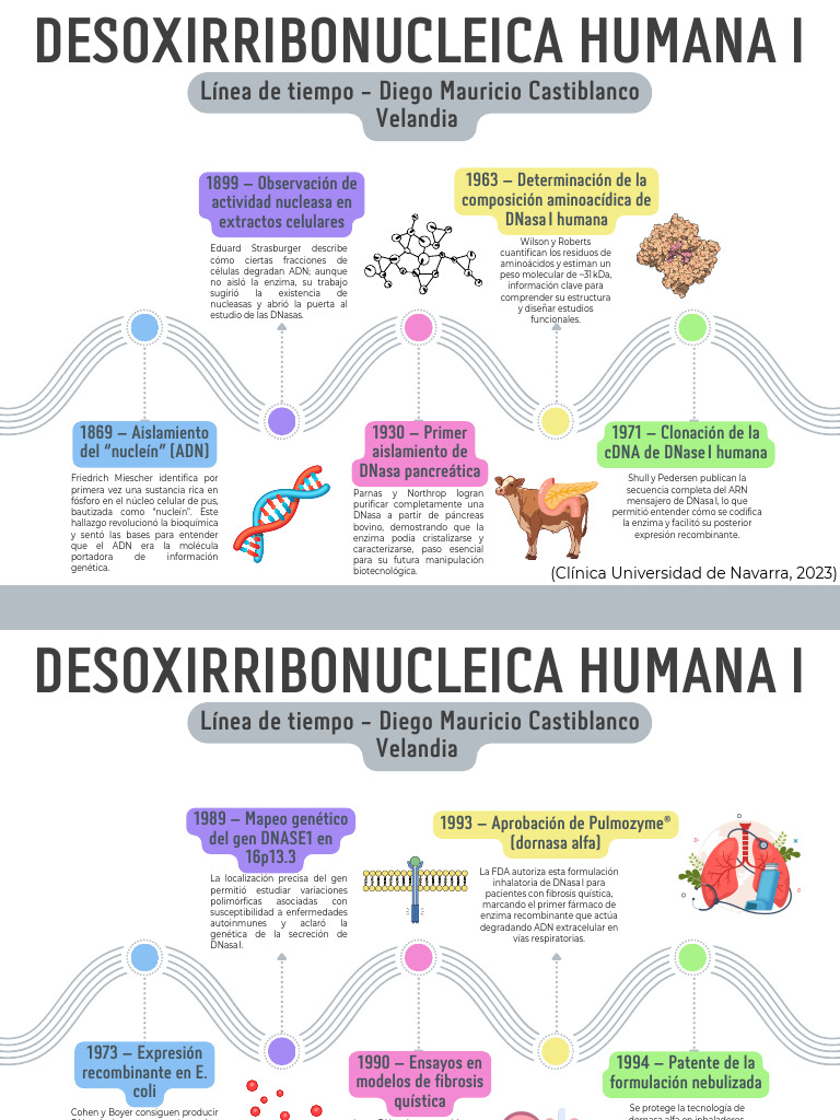 Línea de tiempo de DNasa I humana | PDF | Adn | Gene