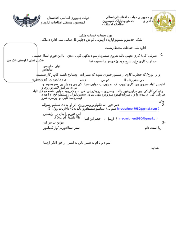 Employment Form | PDF