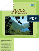 Pucon en Transición