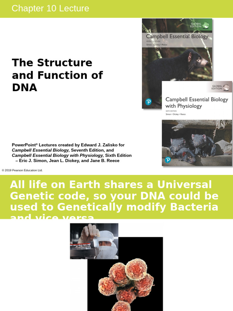 DNA Structure and Function Overview | PDF | Translation (Biology ...