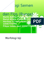 Morfologi Semen (Biji) Dan Flos (Bunga) Fix