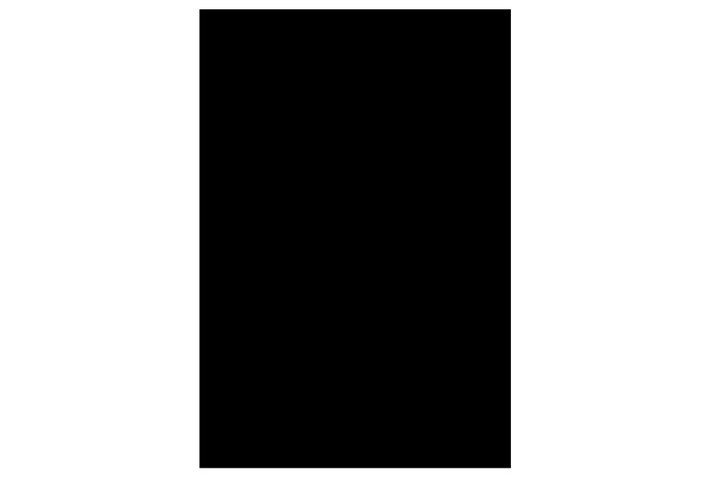 Black | PDF