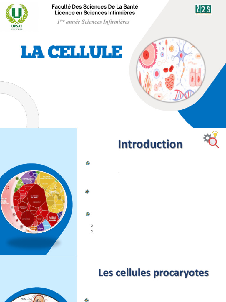 Structure et Fonction des Cellules | PDF | Membrane cellulaire ...