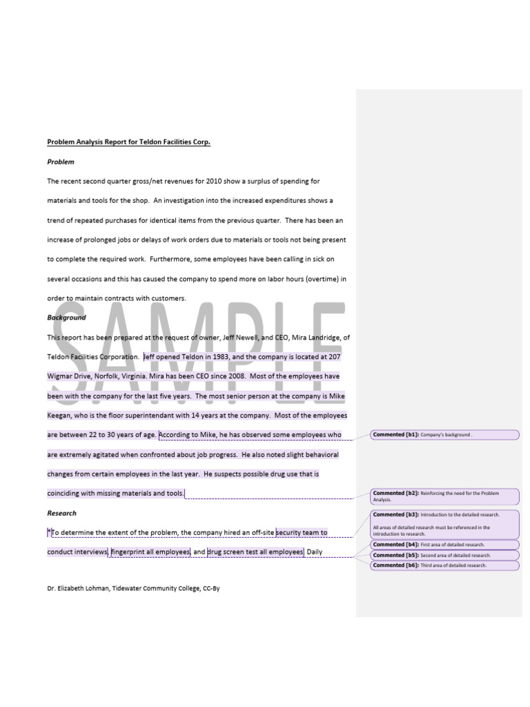 Problem Analysis Report For Teldon Facilities Corp | PDF