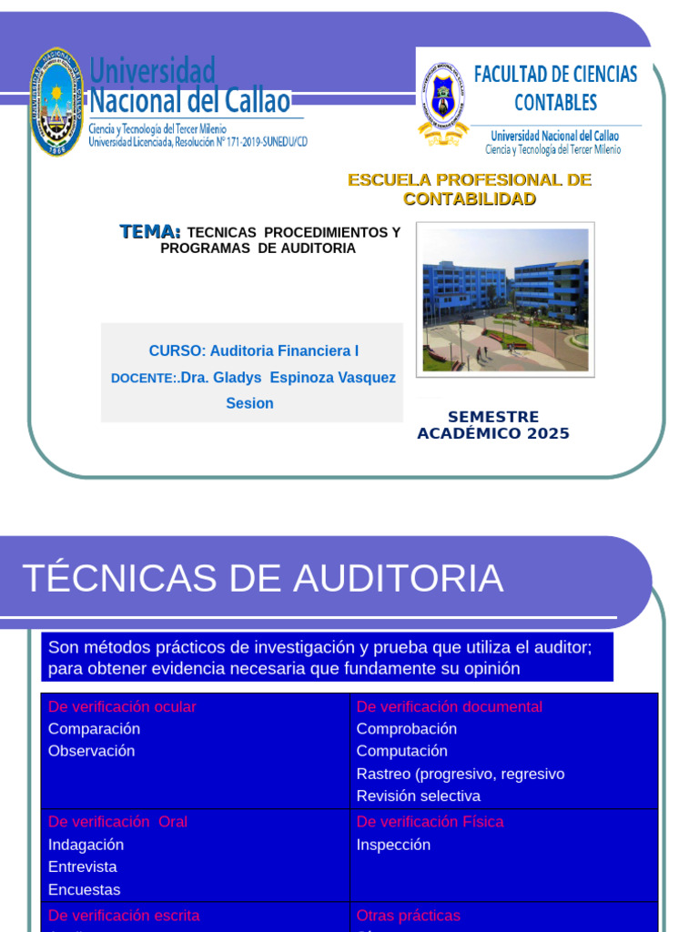 Técnicas y Procedimientos de Auditoría | PDF | Auditoría | Contralor