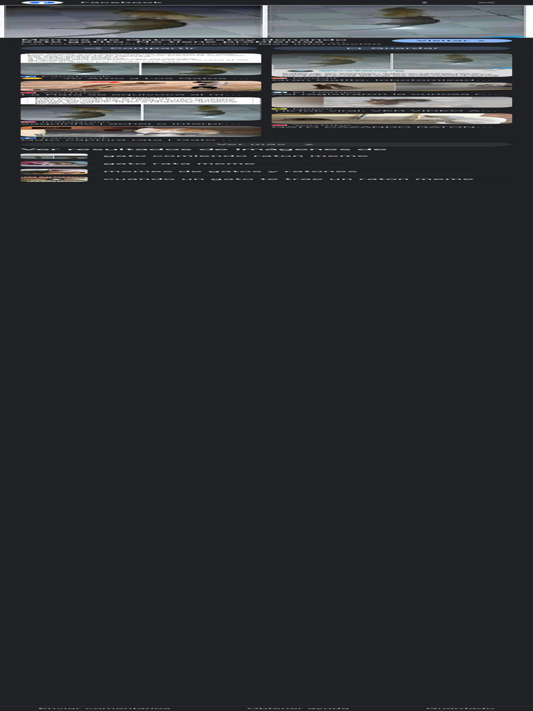 Gato Pequeño Cazando Raton Meme - Buscar Con Google | PDF