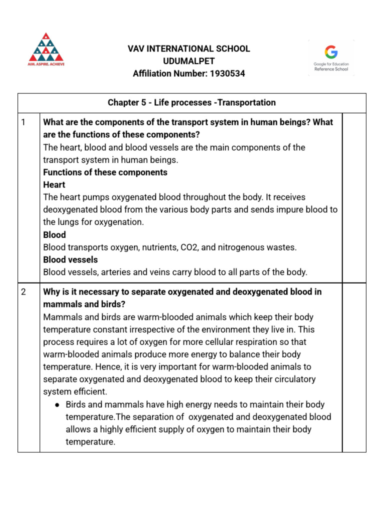 Human Circulatory System Overview | PDF | Heart Valve | Atrium (Heart)