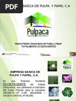 Nueva Presentacion Pulpaca 2012