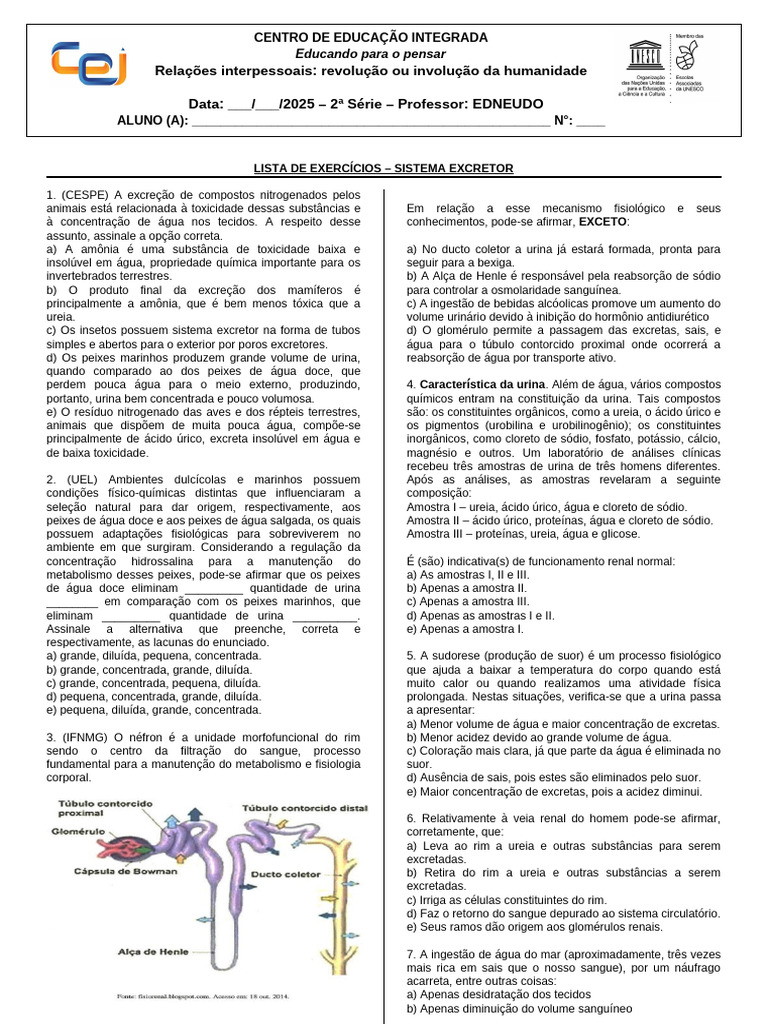 Exercícios sobre o Sistema Excretor | PDF | Rim