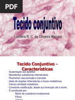 Apresentação Aula 2 Histologia Tecido Conjuntivo