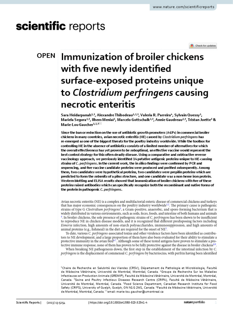 Immunization of Broiler Chickens With Five Newly Identified Surface ...