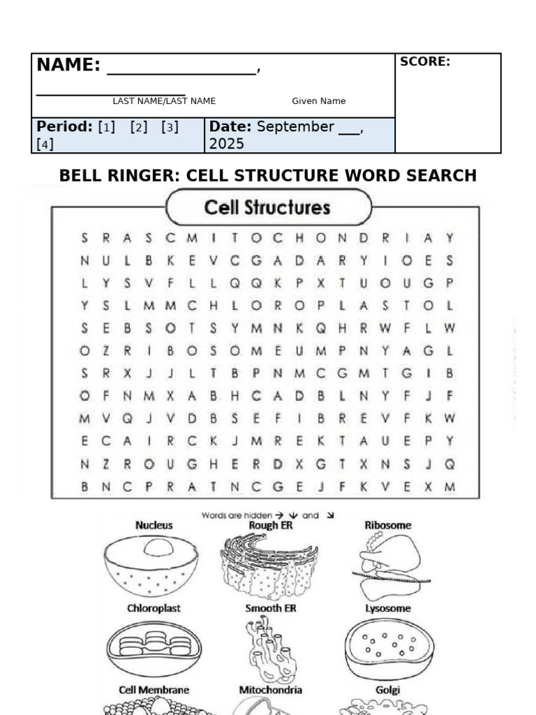 Science 6 Bell Ringer Cell Structure Word Search | PDF