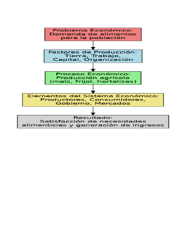 Organizador Proceso Economico | PDF
