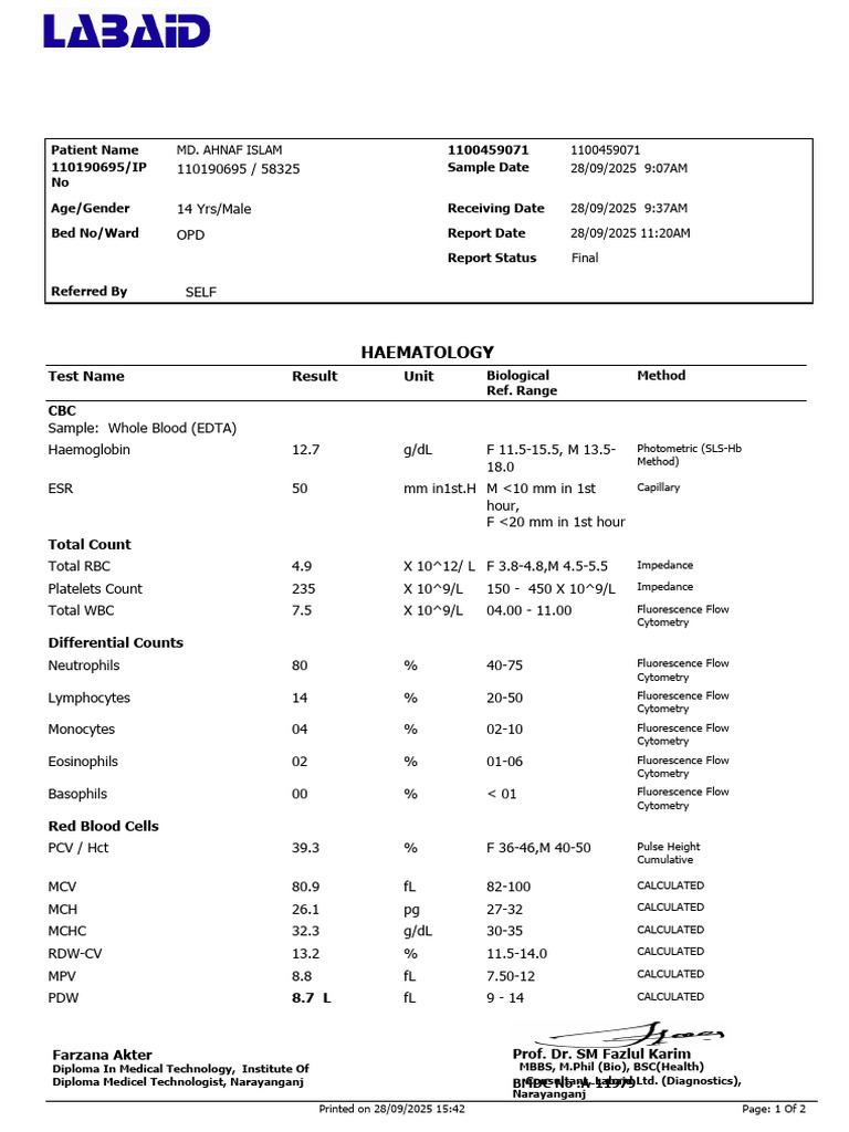 Hematology Report for 14-Year-Old Male | PDF | Medical Diagnosis ...