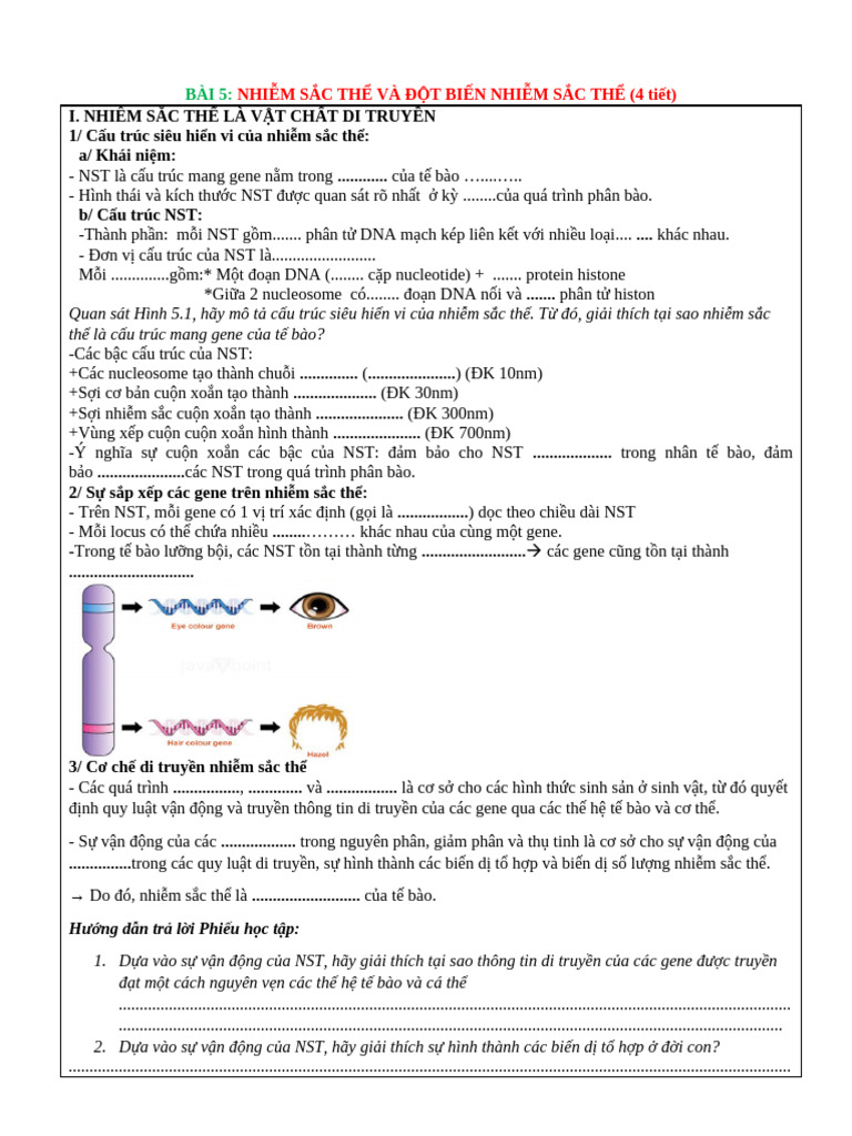 Bài 5 - HS | PDF