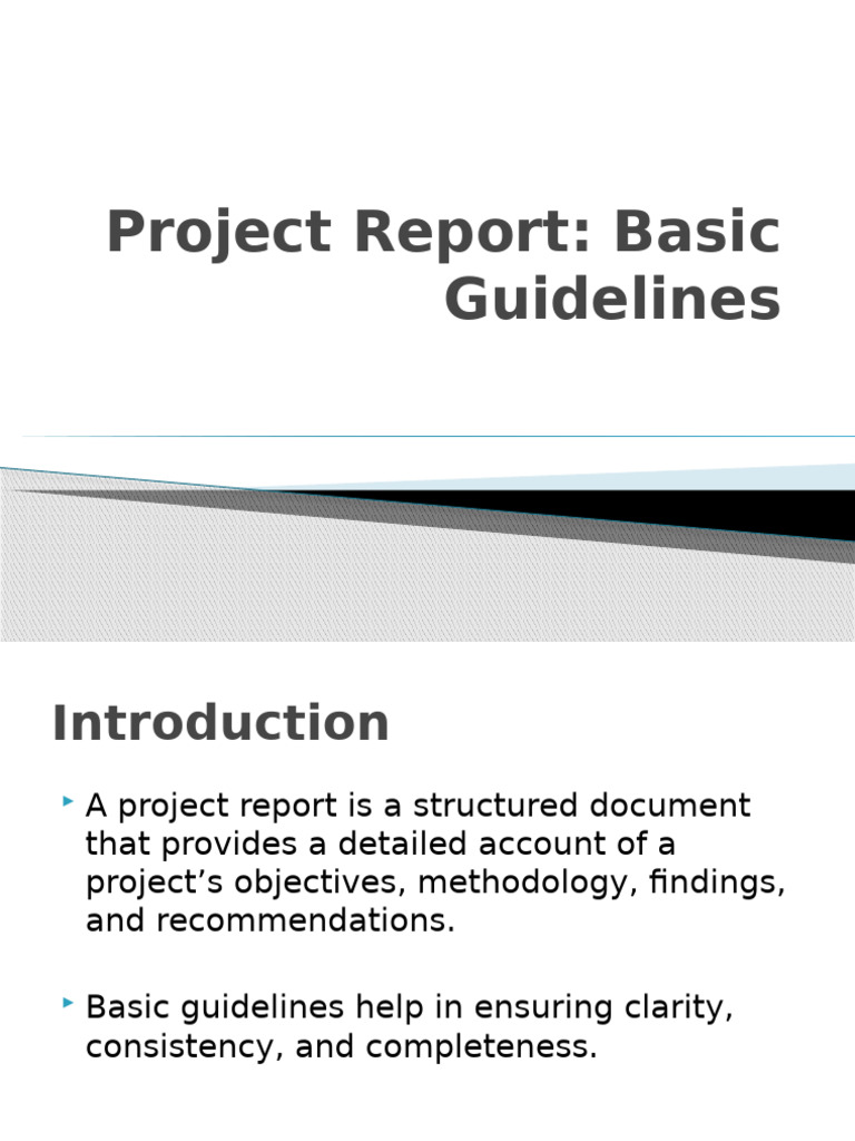 Project Report Basic Guidelines | PDF