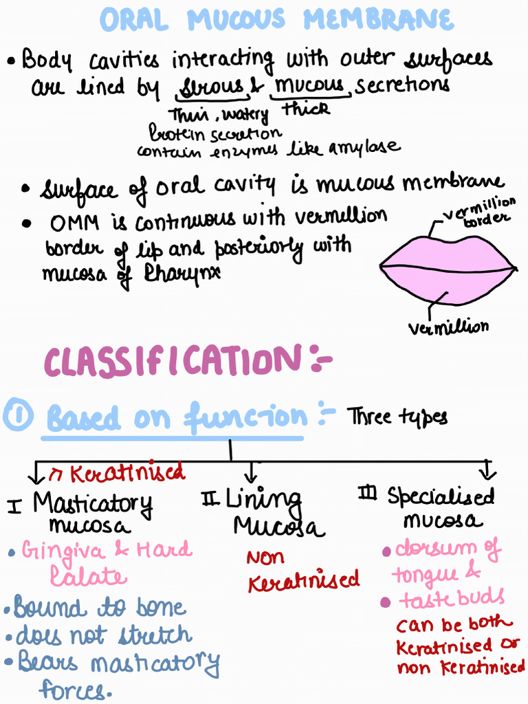 Oral Mucous Membrane | PDF