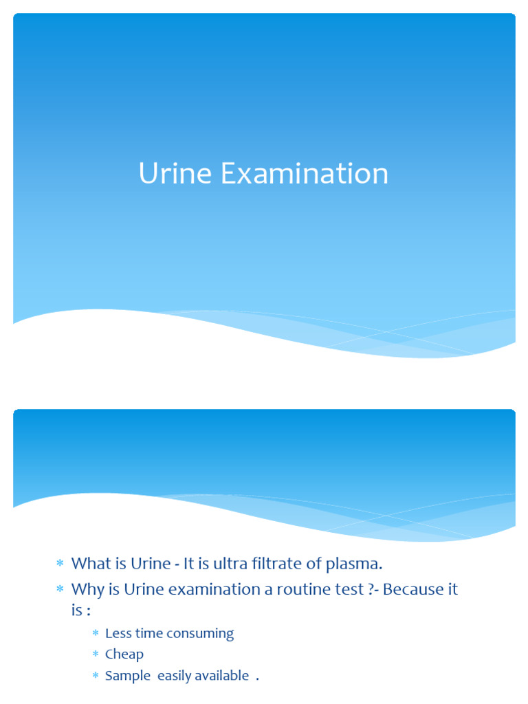 Comprehensive Guide to Urinalysis | PDF | Urine | Urology