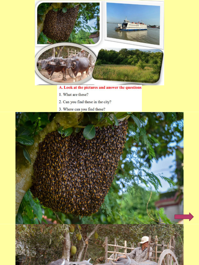 Grade 8 - Lesson 4 | PDF