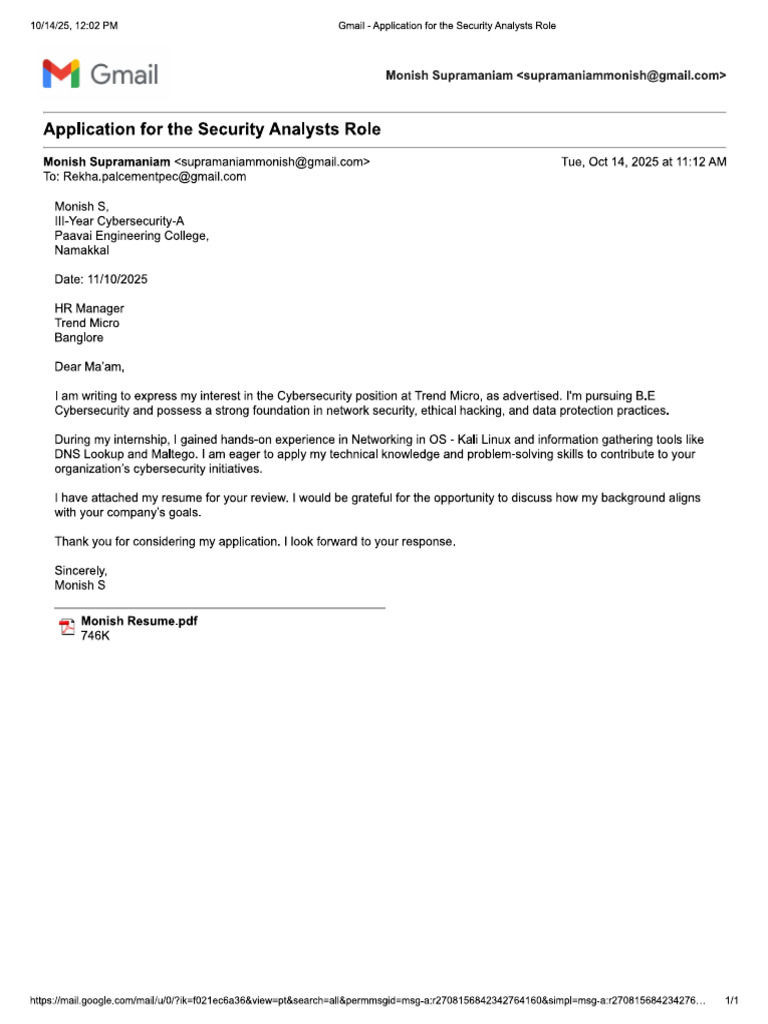 Monish Job Application | PDF