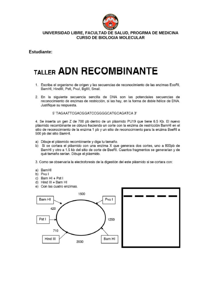 Biomol Taller Adn Recomb | PDF | Biología Molecular | Biotecnología
