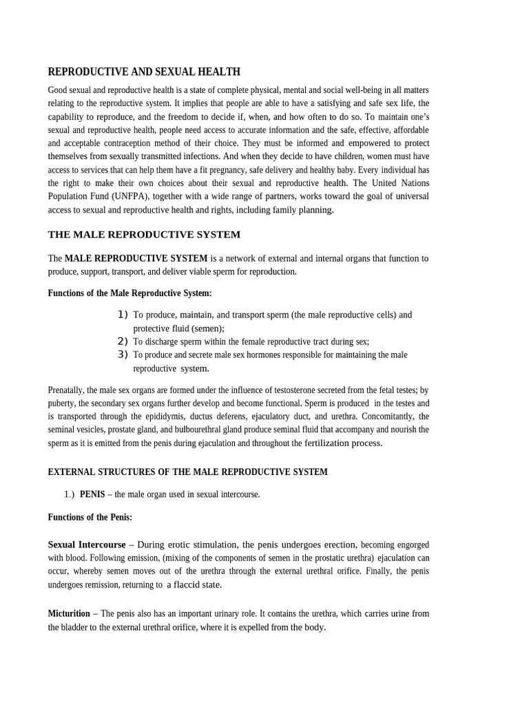 The Male Reproductive System | PDF | Testicle | Ejaculation